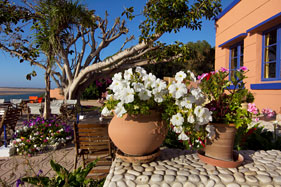 The colourful Hippocampe Hotel