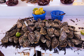 Fresh oysters for sale in Oualidia